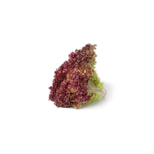 Lollo saláta (lila) 1db képe